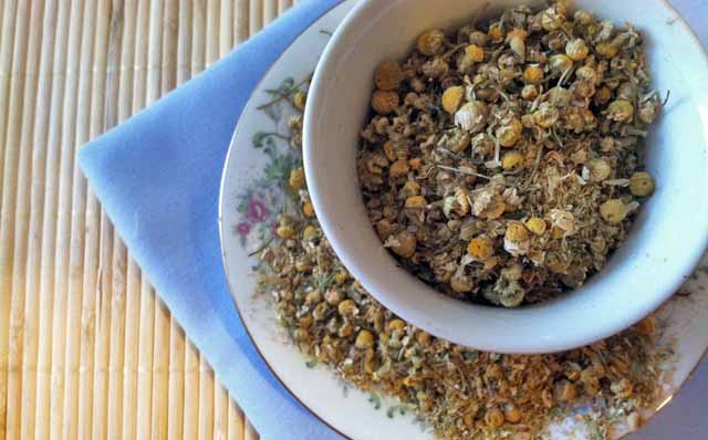 herb profile chamomile