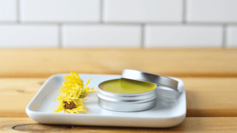 herbal lip salve