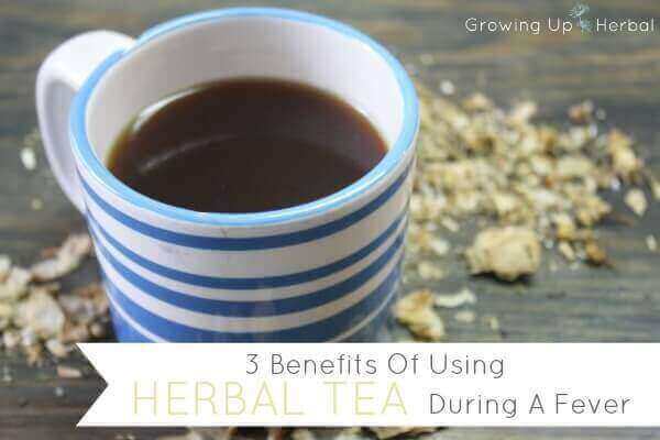 6 Benefits Of Using Herbal Tea During A Fever Wellness Mama