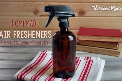 Homemade natural diy air freshener