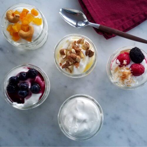 https://wellnessmama.com/wp-content/uploads/homemade-yogurt-500x500.jpg