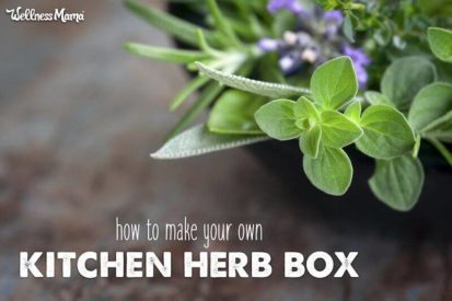 How to make a kitchen herb box