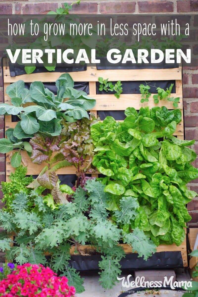 A vertical garden lets you grow more in a smaller space by using planters, wall gardens, tower gardens or hydroponics for plants like cucumbers, beans, etc.