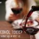 Is alcohol toxic? or healthy?