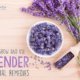 How to Use Lavender (Grow it, Make Natural Remedies & More)