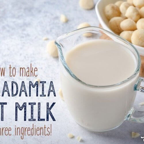 homemade macadamia nut milk recipe and tutorial