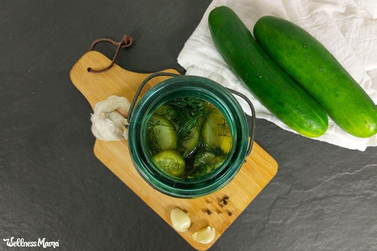 fresh cucumber pickles