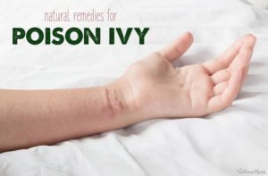 Natural Remedies To Avoid Illness & Recover Faster | Wellness Mama