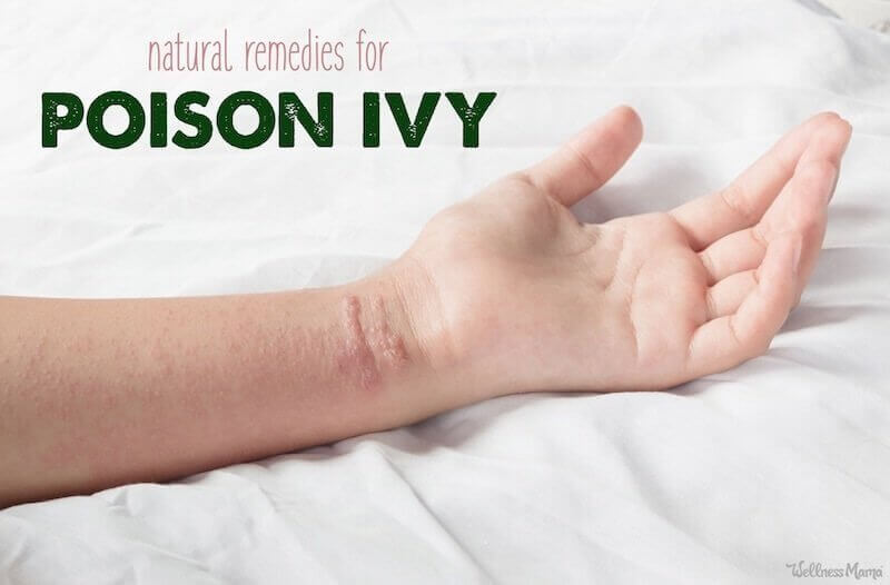 Natural Remedies For Poison Ivy Wellness Mama,Hummingbird Food Recipe