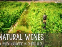 natural wines