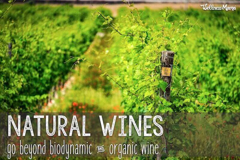 Why Natural Wines Go Beyond Biodynamic & Organic Wine
