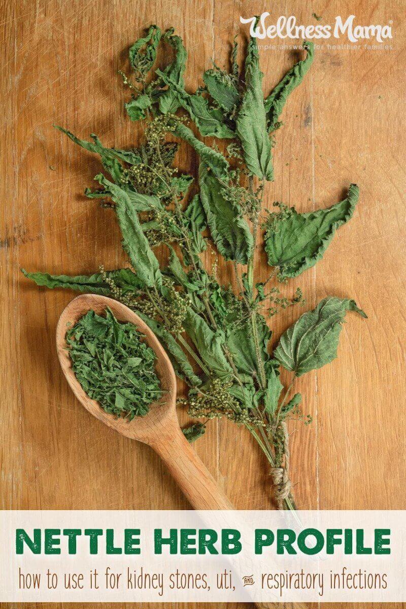 Nettle is a wonderful herb that is used for easing allergies, asthma, and illness. It is sometimes used for reducing blood pressure and infection.