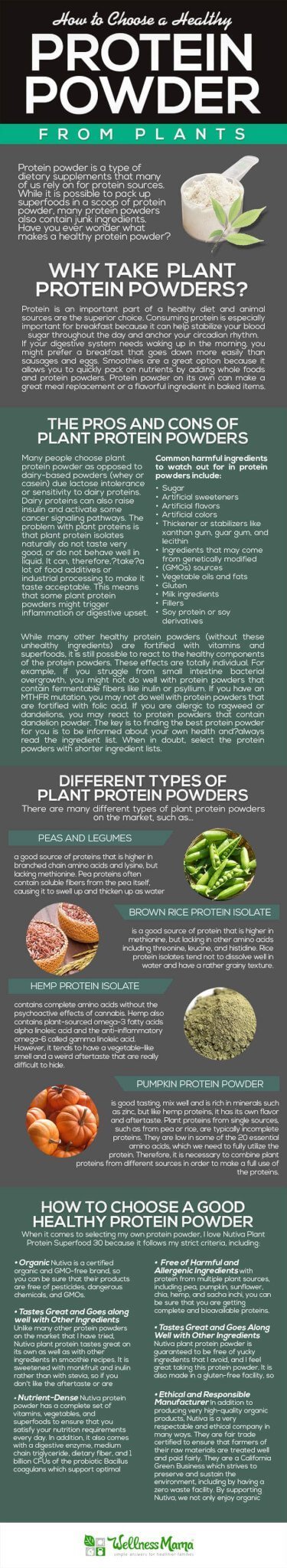 Plant-based protein powder can taste pretty bland and have some sneaky bad ingredients. Find out how to choose a good protein powder without the junk!