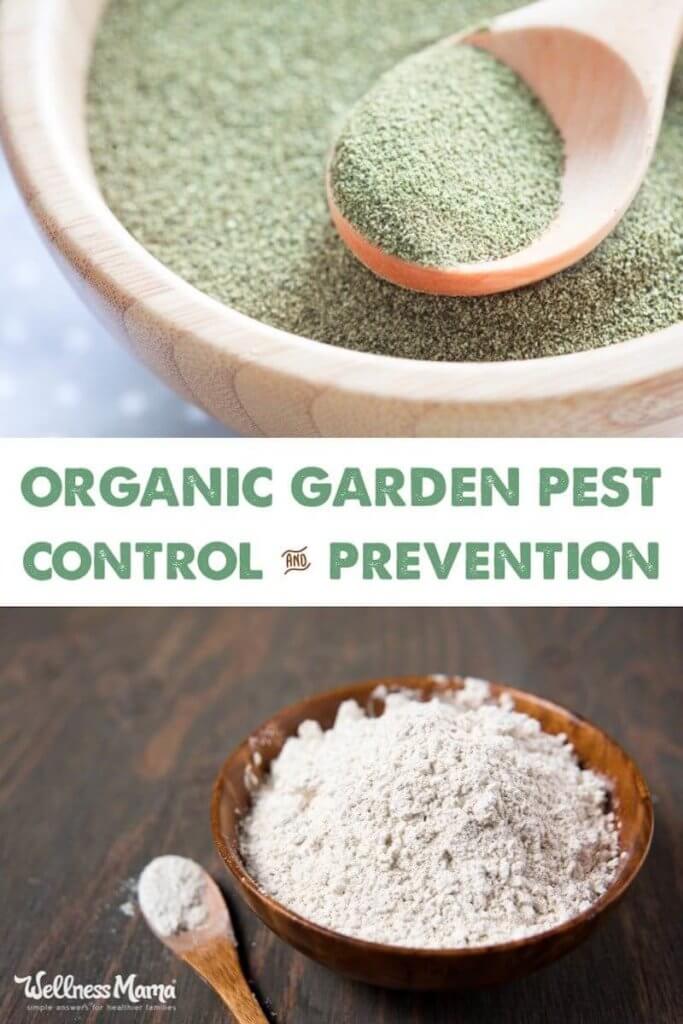 Curated visual reference: Picture Idea: Natural Pesticides For An Organic Garden