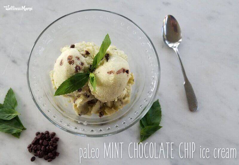 Homemade Mint Chocolate Chip Ice Cream Recipe (Dairy Free & Paleo)