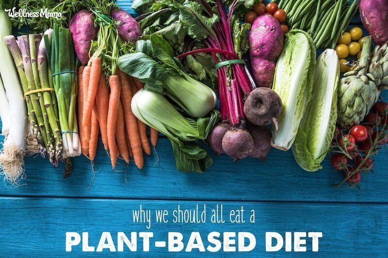 Is a Plant- Based Diet Best for Us Wellness Mama