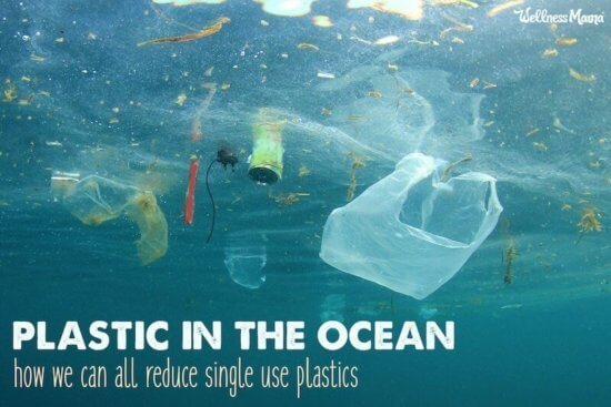 How We Can Reduce Single-Use Plastic that ends up in the Ocean