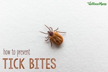 How to prevent tick bites