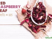 Red raspberry leaf benefits