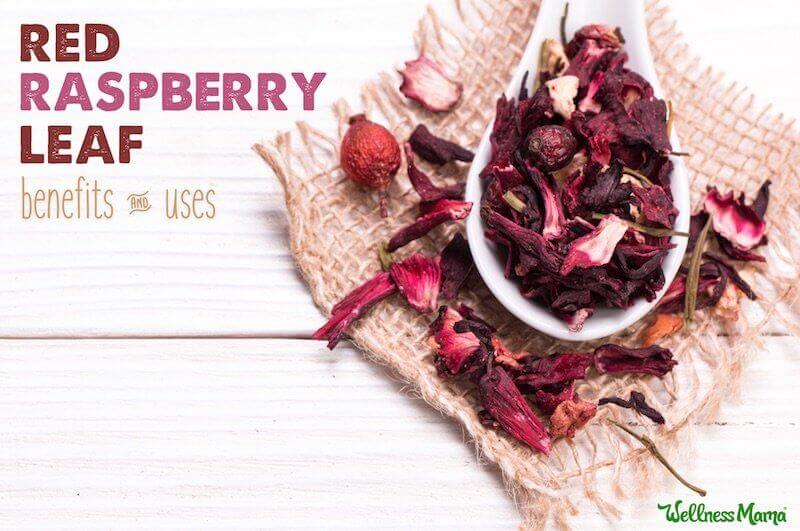 How to Use Red Raspberry Leaf Herb Wellness Mama