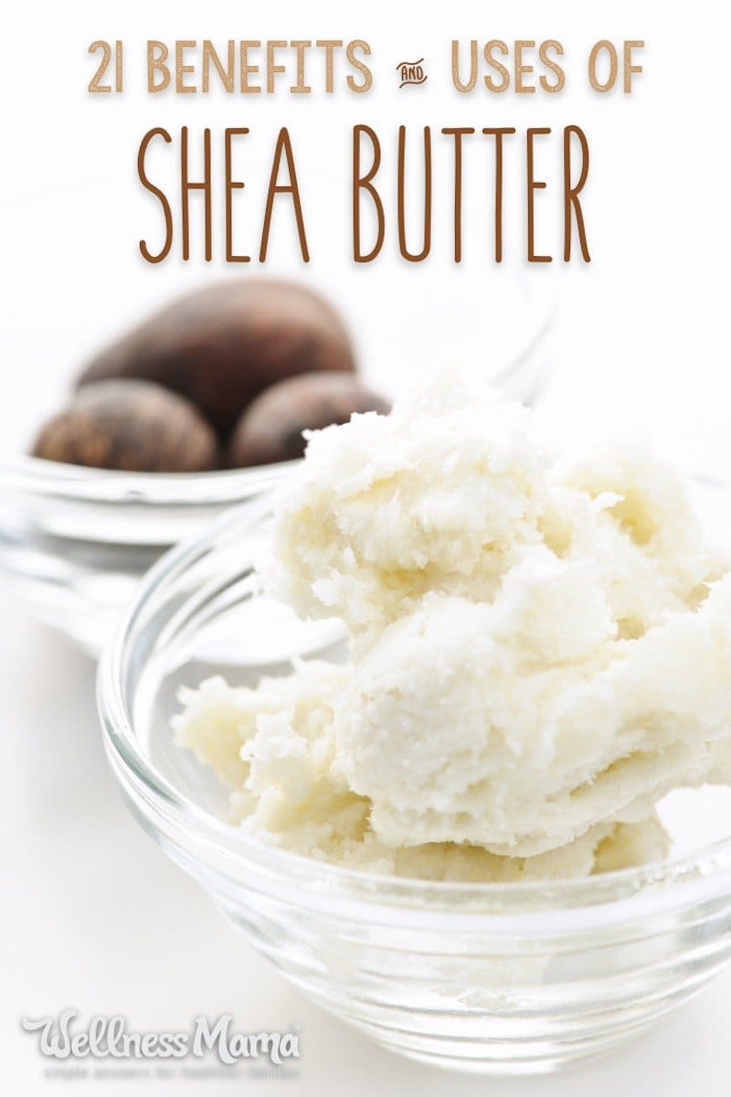 Shea butter has so many benefits for the skin and is great in homemade beauty products like lotions, lotion bars, body butters, lip balms and makeup.