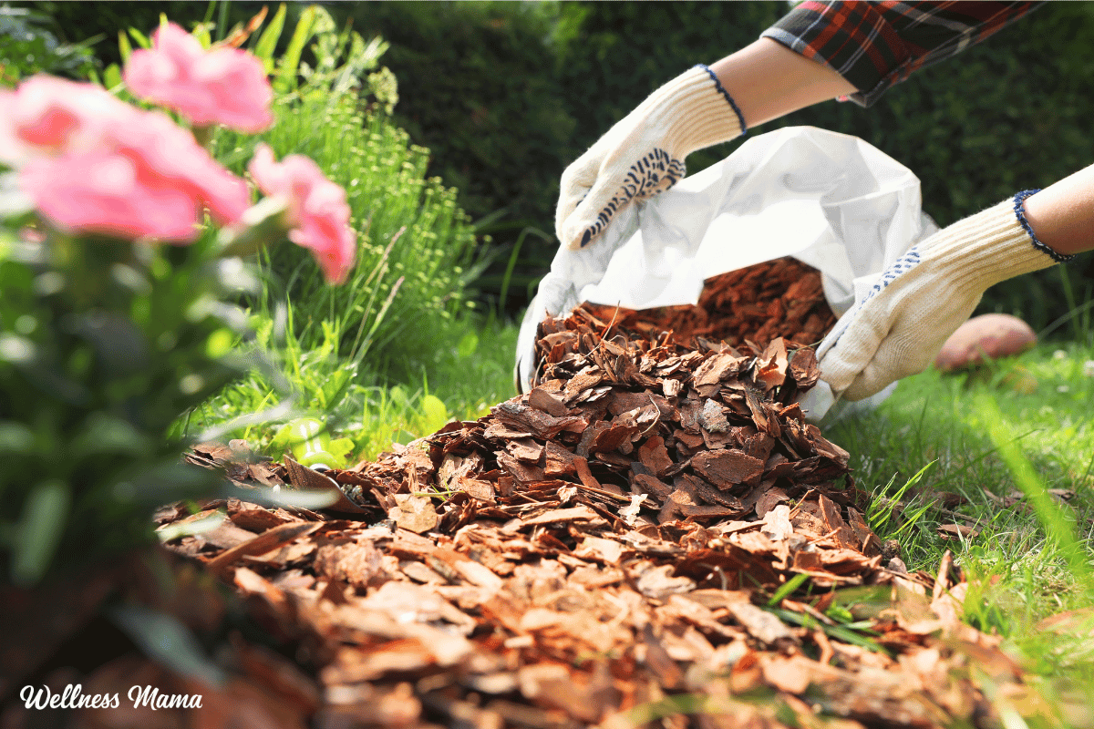 قائمة مرجعية لحديقة الربيع لموسم البستنة أسهل