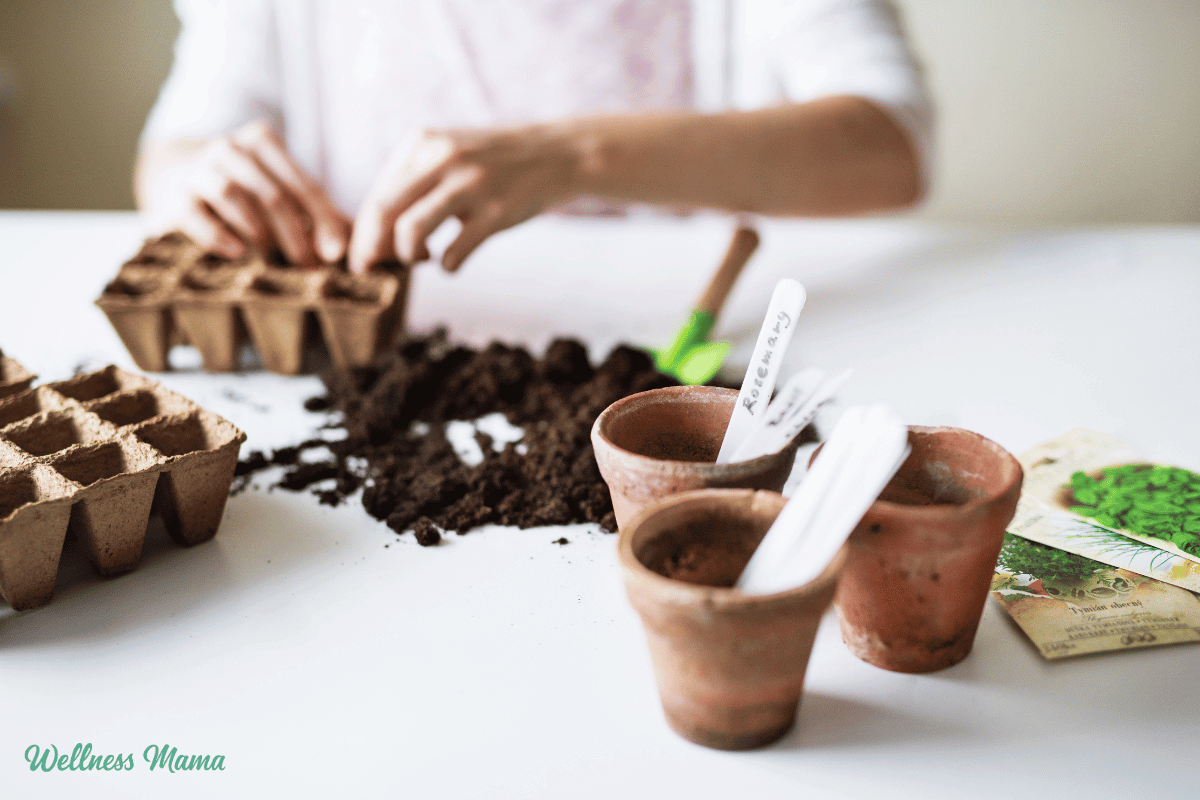 Organic Gardening: How to Start a Garden 101