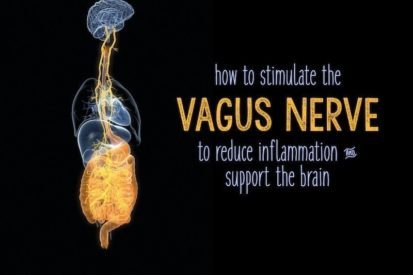 vagus nerve disorders and stimulation