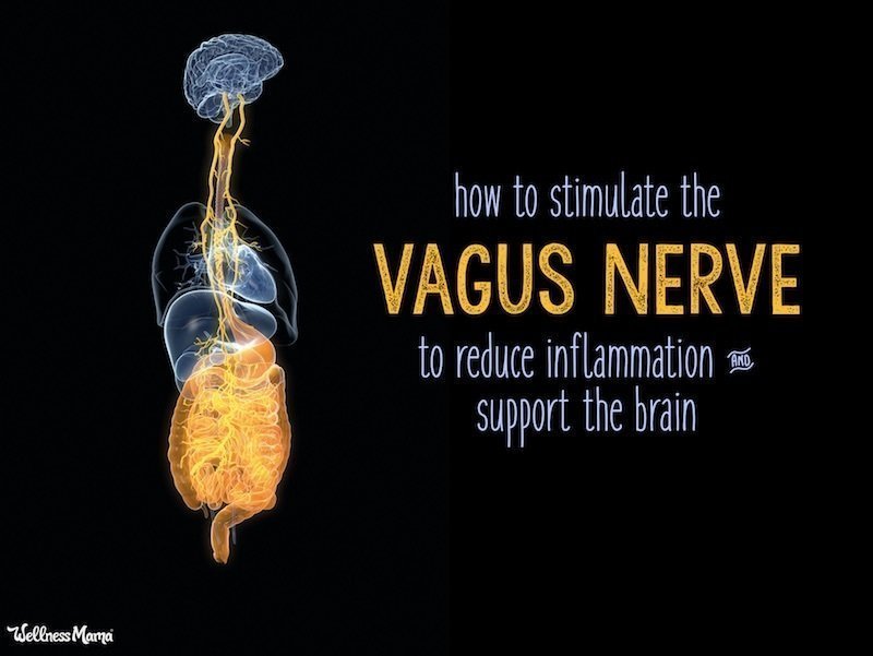 vagus nerve disorders and stimulation