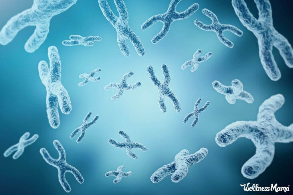 Can Telomeres Reduce Aging and Improve Longevity? | Wellness Mama