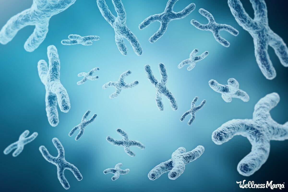 What are Telomeres and Can They Reduce Aging and Improve Longevity?