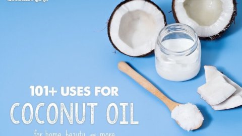 Uses and Benefits of Coconut Oil