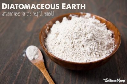 Uses of Diatomaceous Earth