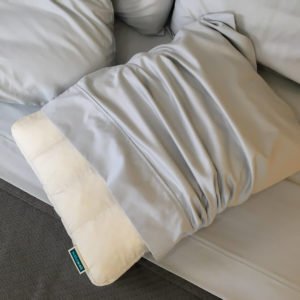 WakeWell Pillow