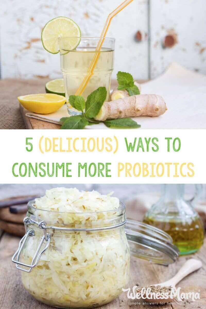 Fermented foods and drinks contain probiotics that boost gut bacteria. Probiotic rich recipes for sauerkraut, water kefir, kvass, kombucha and ginger ale.