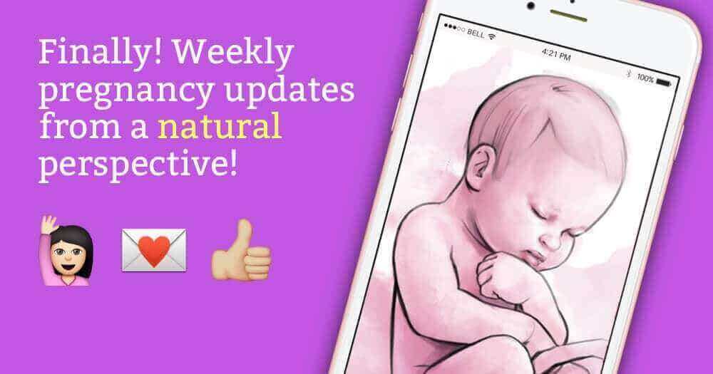 weekly pregnancy updates from a natural perspective - purple