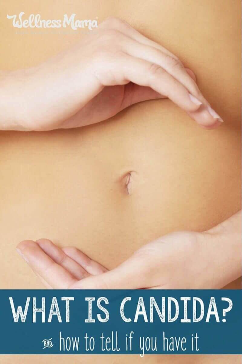 Candida is a type of yeast that naturally occurs in the body but that can be harmful in abundance and can lead to sugar cravings and health problems.