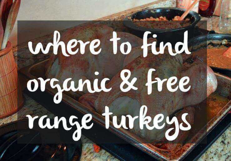 where to find organic and free range turkeys for thanksgiving